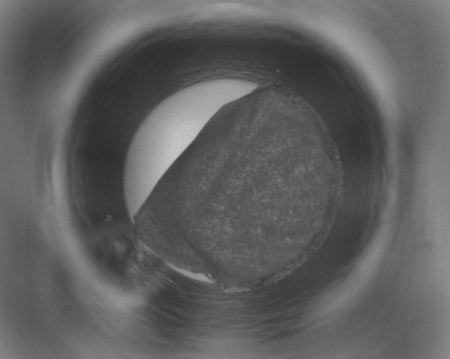 X0000082200765200702100001