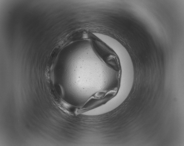 X0000082200766200702100001