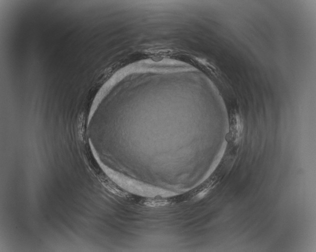 X0000082200767200702100001