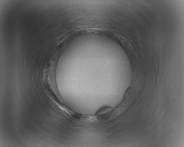 X0000082200768200702100001