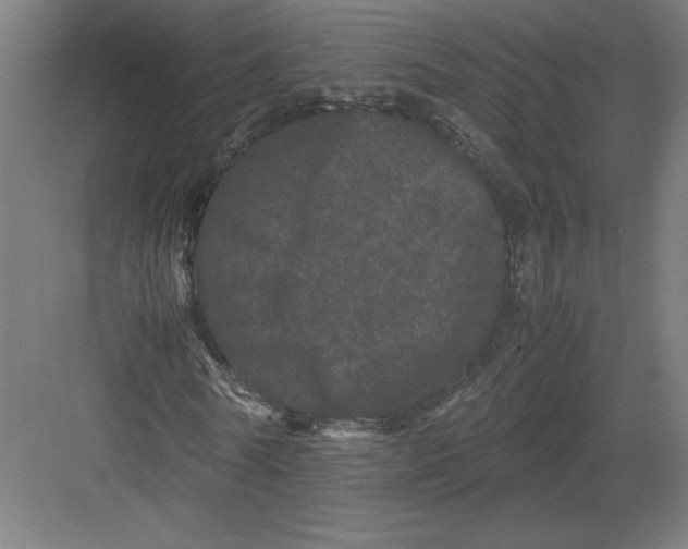 X0000082200770200702100000