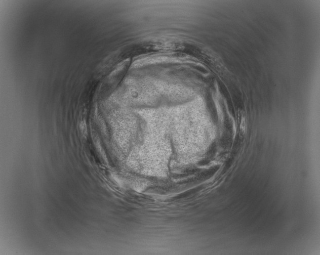 X0000082200771200702100000