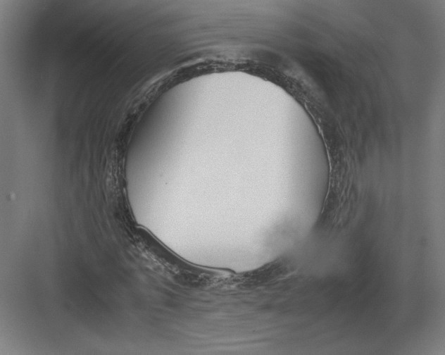 X0000082200773200702100000