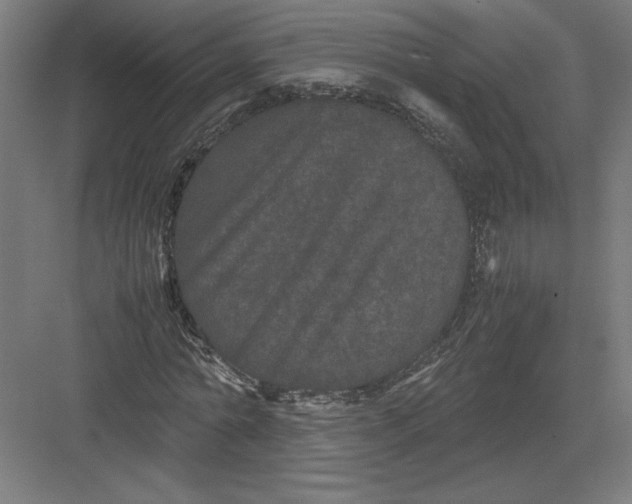 X0000082200774200702100000