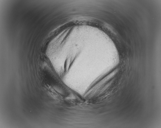 X0000082200775200702100000