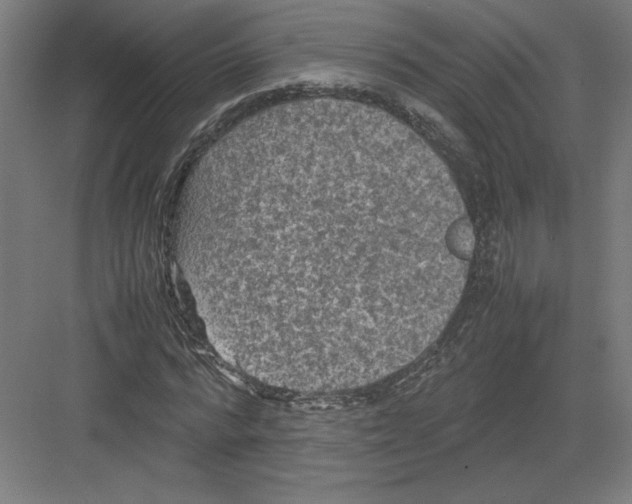 X0000082200776200702100000