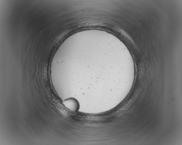 X0000082200777200702100000