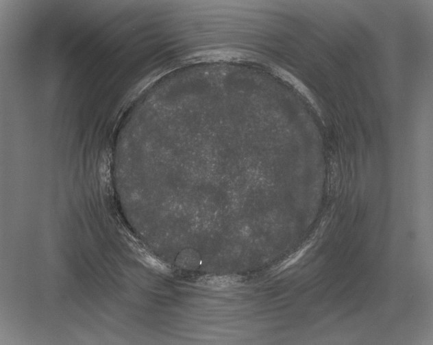 X0000082200778200702100000