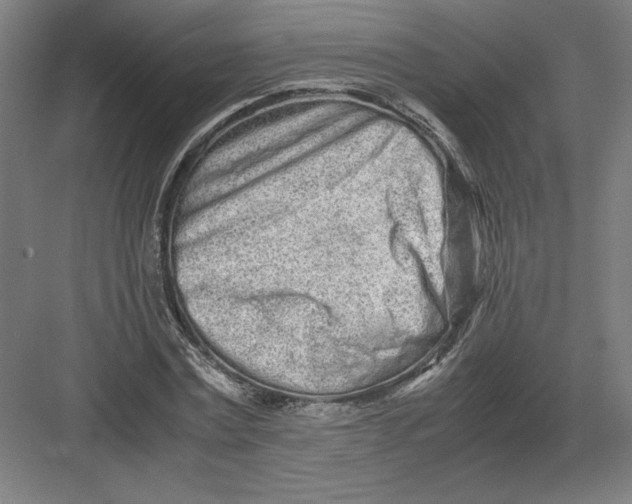 X0000082200779200702100000