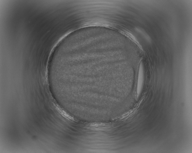 X0000082200780200702100000