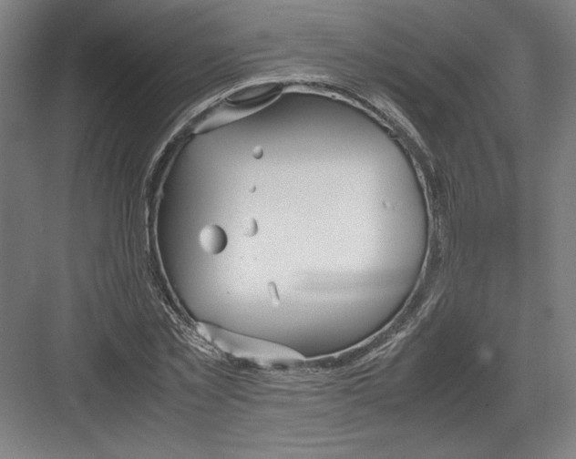 X0000082200781200702100000