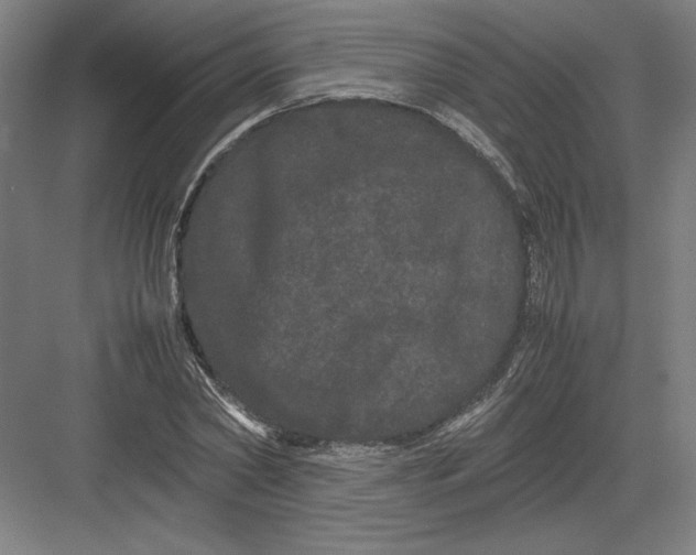 X0000082200782200702100000