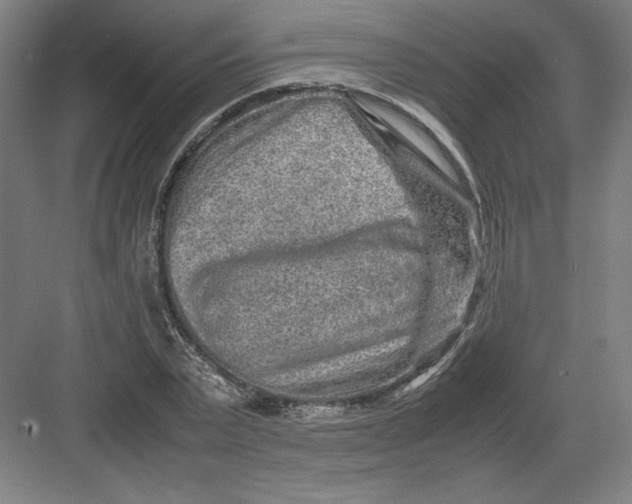 X0000082200783200702100000