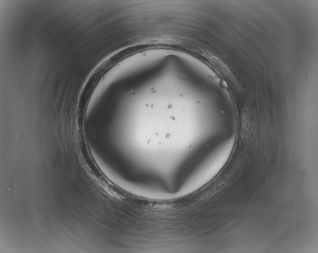 X0000082200784200702100000