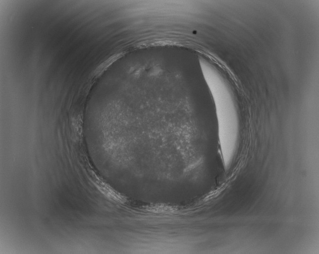 X0000082200785200702100000