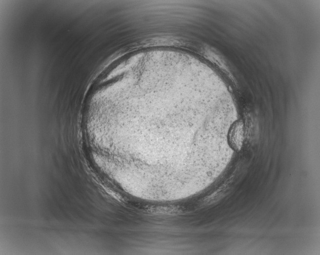 X0000082200786200702100000