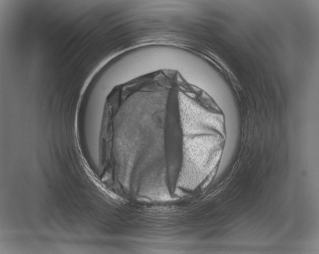 X0000082200788200702100000