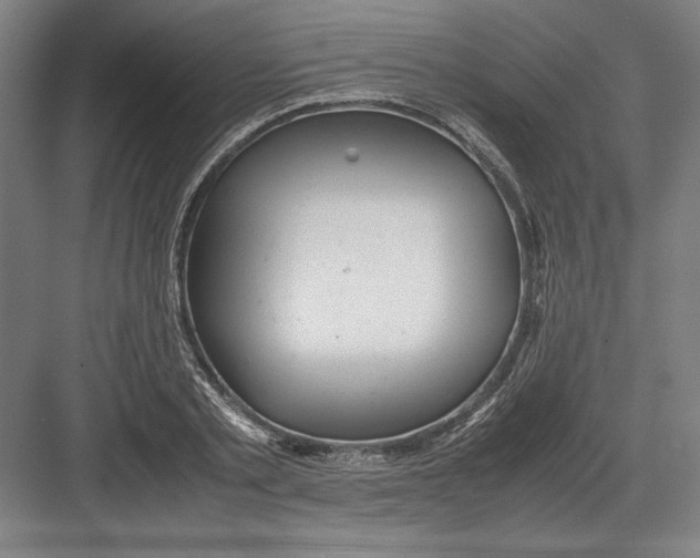 X0000082200789200702100000