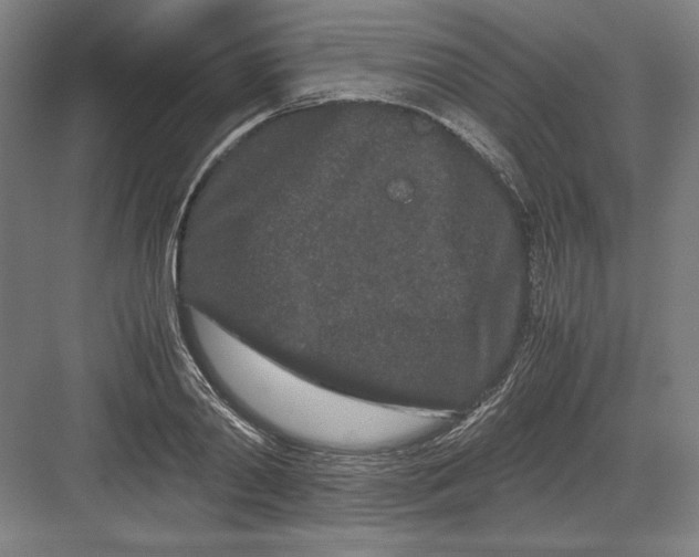 X0000082200790200702100000