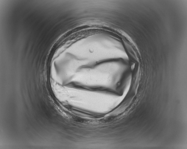 X0000082200791200702100000