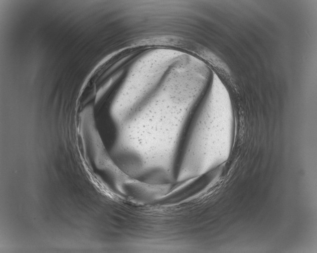 X0000082200792200702100000