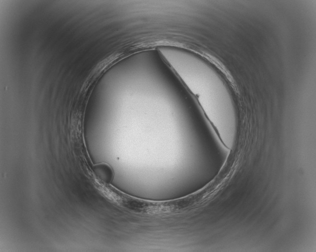 X0000082200793200702100000