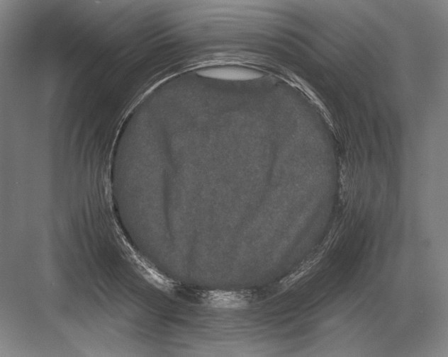 X0000082200794200702100000