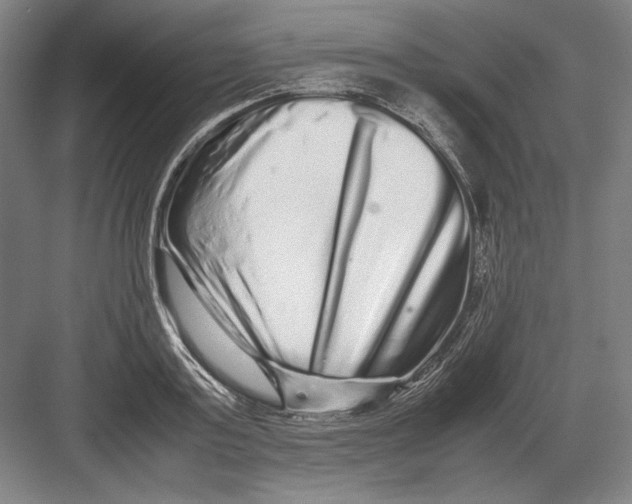 X0000082200795200702100000