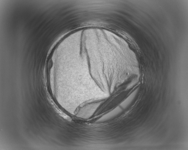 X0000082200796200702100000