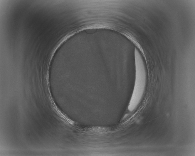 X0000082200797200702100000