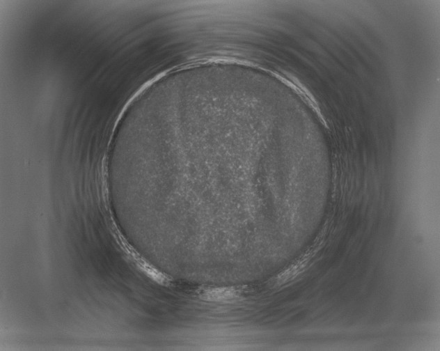 X0000082200798200702100000