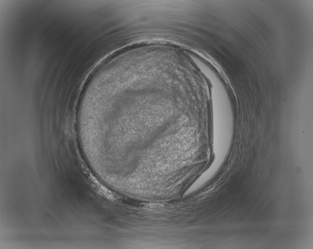 X0000082200799200702100000