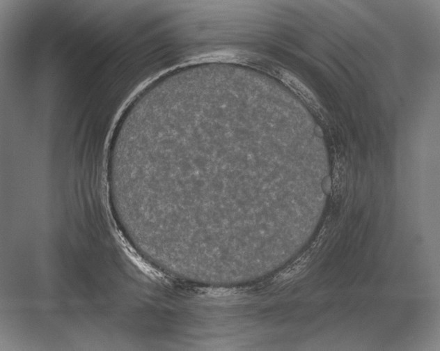 X0000082200800200702100000