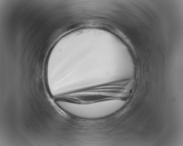 X0000082200803200702092359