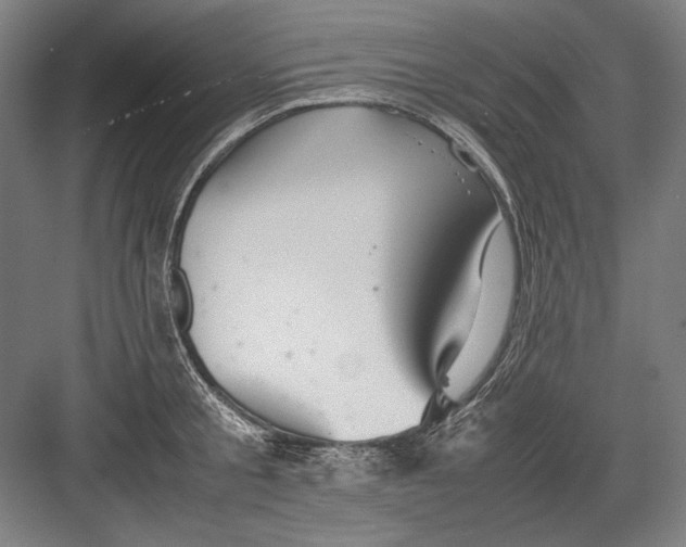 X0000082200805200702092359