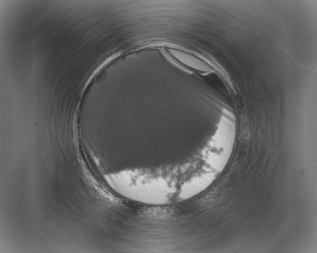 X0000082200806200702092359