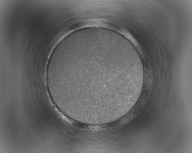 X0000082200807200702092359