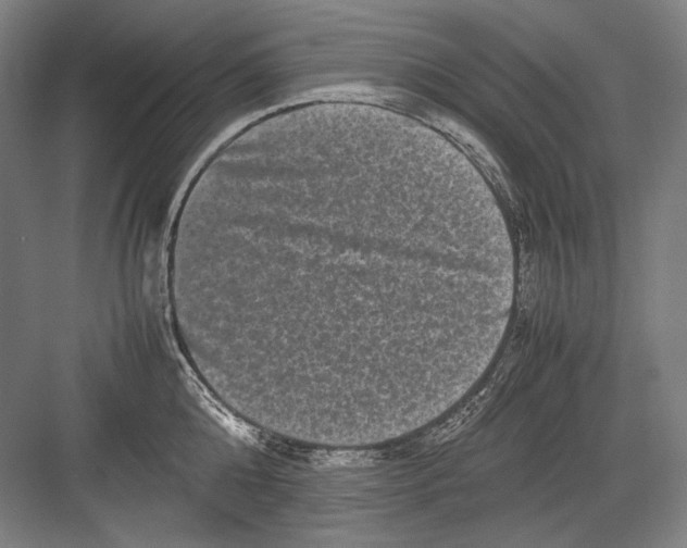 X0000082200808200702092359