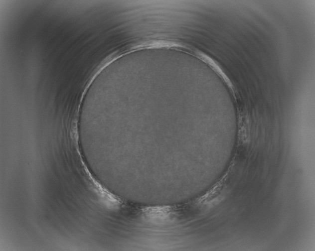 X0000082200810200702092359