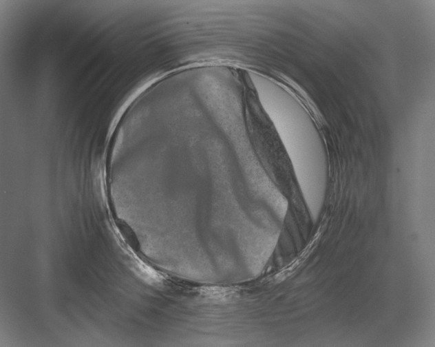 X0000082200812200702092359