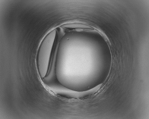 X0000082200813200702092359