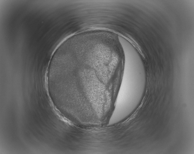 X0000082200814200702092359