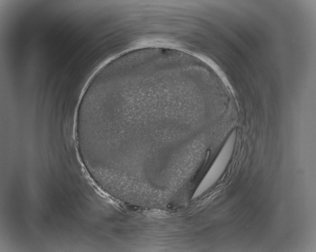 X0000082200815200702092359