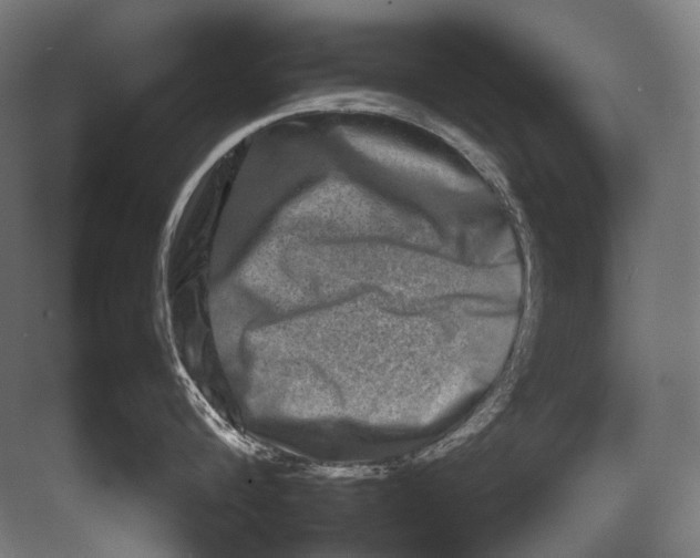 X0000082200816200702092359