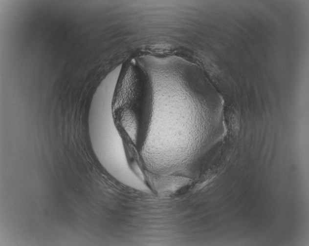 X0000082200818200702092358