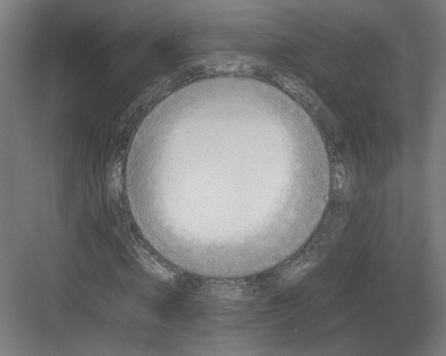 X0000082200820200702092358