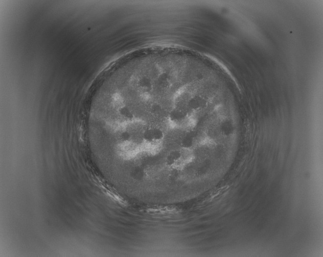 X0000082200823200702092359