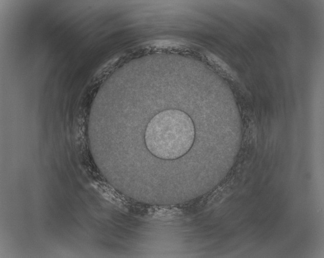 X0000082200824200702092359