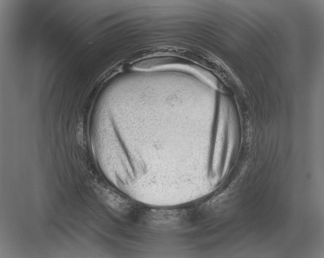 X0000082200825200702092359