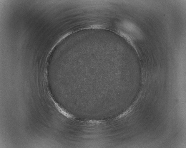 X0000082200827200702092359